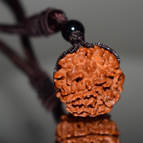 Sacred Rudraksha seed Necklace - Picture 5 of 8